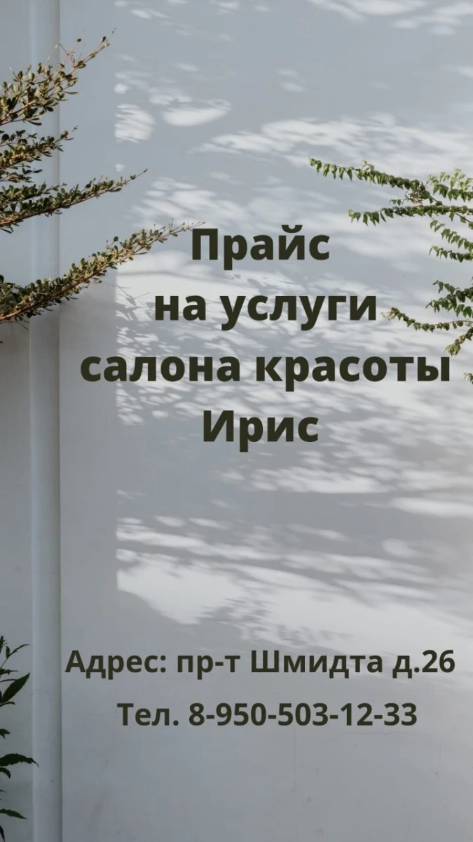 Салон красоты Ирис: цены на услуги, запись, отзывы, адрес и фото на  SalonyMoskvy.ru